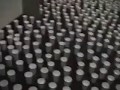 Brentwood Academy Senior Prank