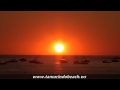 Ver Video