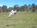 Candice+Me racing.avi