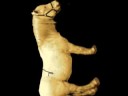 animal dreams - labradoodles, horses, astronauts animal dreams - labradoodles, horses, astronauts