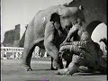 Ray Harryhausen Creature List