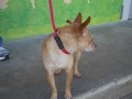 Harry A4041250