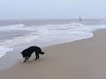 2 sessions d'automne à la Dune du Ouest