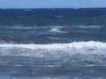 windsurfing îles de la madeleine