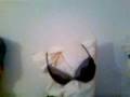 cold pillow fasion show