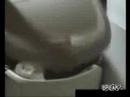 Funny Cat Miscalculates Step