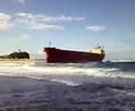 pasha bulker grounded, Newcastle, Nobbys