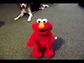 Master Race Elmo, now complete with heiling action!