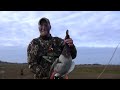 Brycs 50 yard mallard masterpiece Brycs 50 yard mallard masterpiece