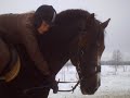 Videoita/kuvia meidän hevosista :) Cremello asustelee meidän tallilla, mutta 2kaveriani omistavat sen :)