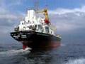 Verschillende schepen op de westerschelde.