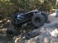 videos de dixie run 2008