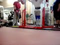 Dogge 242,5 kg