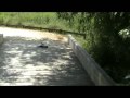 Proyecto CampusBot 2007  Robot explorador Bat Bot.