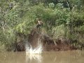 otro na fazenda