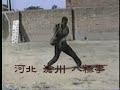 This is Baji Quan