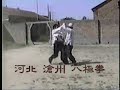 This is Baji Quan