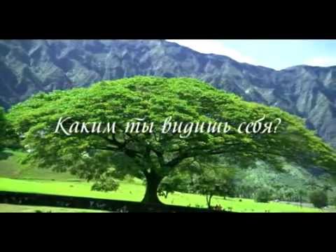 YouTube Трейлер