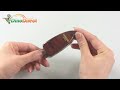 Car Vehicle Sun Visor Clip Glasses Sunglasses Holder DE107 - dinodirect