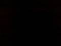 videos de stupid hat