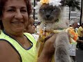 BLOC�O 2008