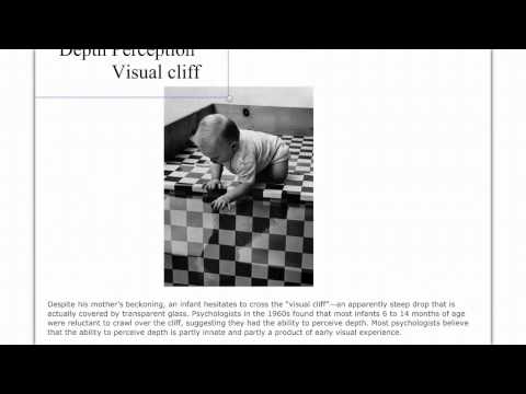perception - Class notes on perceptions.