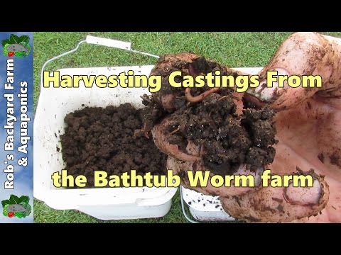 how to harvest worm castings