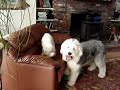 Tug with Mick and Sheyn