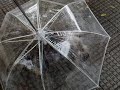 BOB: Pet Umbrella
