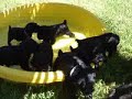Fun in the Sun!