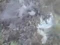 weon-bacan-volando.html