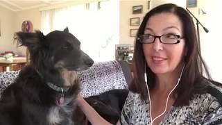 Using EFT to Calm Pets