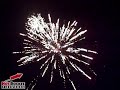 White Tiger :: Hot Rocket Fireworks :: www.pyrobug.com