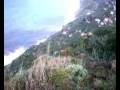 Madeira Arco de Calheta