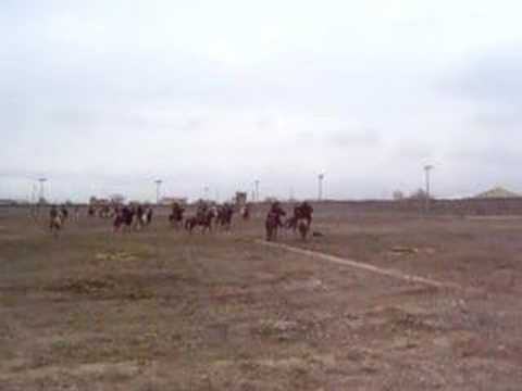 Buzkashi