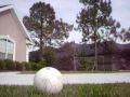 Knuckle Soccer Ball Shot