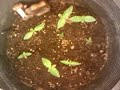 video-2009-12-22-23-33-08