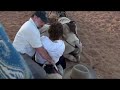 Australian Camel Ride