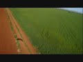 Parachute RC,seebreeze , r�dio controlado