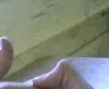 Pulseada china con mau
