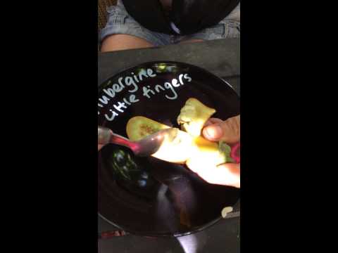 how to harvest aubergines