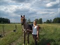 Simberg Amourette Simberg Amourette