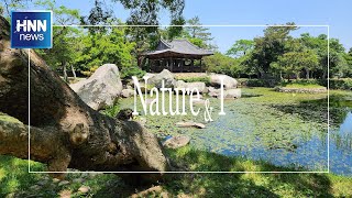 고산이 꿈꾸던 이상세계