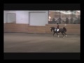 Worthy Opponent Canter 100 Day Test