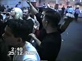 aca cergar i gorila uzivo aca cergar i gorila uzivo