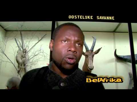rencontres culturelles de tervuren