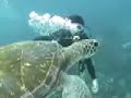 Dive in Buzios Brasil