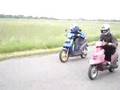 Skuter mania