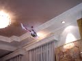 Esky Robins R22