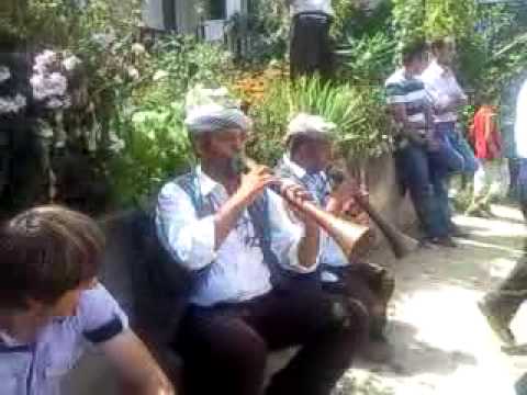bylbylat e tetoves 2009